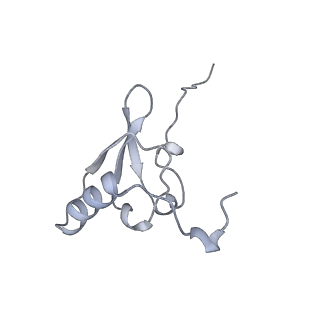 43075_8v9k_s_v1-2
Cryo-EM structure of the Mycobacterium smegmatis 70S ribosome in complex with hibernation factor Rv2629 (Balon) (Structure 5)