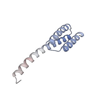 43075_8v9k_t_v1-2
Cryo-EM structure of the Mycobacterium smegmatis 70S ribosome in complex with hibernation factor Rv2629 (Balon) (Structure 5)