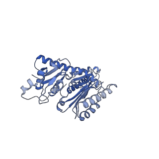 43075_8v9k_z_v1-2
Cryo-EM structure of the Mycobacterium smegmatis 70S ribosome in complex with hibernation factor Rv2629 (Balon) (Structure 5)