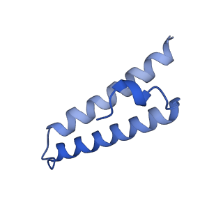 43076_8v9l_1_v1-2
Cryo-EM structure of the Mycobacterium smegmatis 70S ribosome in complex with hibernation factor Msmeg1130 (Balon) and MsmegEF-Tu(GDP) (Composite structure 6)