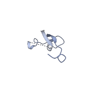 43076_8v9l_3_v1-2
Cryo-EM structure of the Mycobacterium smegmatis 70S ribosome in complex with hibernation factor Msmeg1130 (Balon) and MsmegEF-Tu(GDP) (Composite structure 6)