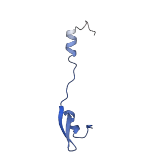 43076_8v9l_4_v1-2
Cryo-EM structure of the Mycobacterium smegmatis 70S ribosome in complex with hibernation factor Msmeg1130 (Balon) and MsmegEF-Tu(GDP) (Composite structure 6)