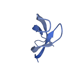 43076_8v9l_5_v1-2
Cryo-EM structure of the Mycobacterium smegmatis 70S ribosome in complex with hibernation factor Msmeg1130 (Balon) and MsmegEF-Tu(GDP) (Composite structure 6)