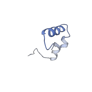 43076_8v9l_6_v1-2
Cryo-EM structure of the Mycobacterium smegmatis 70S ribosome in complex with hibernation factor Msmeg1130 (Balon) and MsmegEF-Tu(GDP) (Composite structure 6)