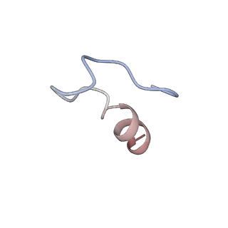 43076_8v9l_9_v1-2
Cryo-EM structure of the Mycobacterium smegmatis 70S ribosome in complex with hibernation factor Msmeg1130 (Balon) and MsmegEF-Tu(GDP) (Composite structure 6)