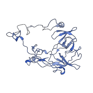 43076_8v9l_C_v1-2
Cryo-EM structure of the Mycobacterium smegmatis 70S ribosome in complex with hibernation factor Msmeg1130 (Balon) and MsmegEF-Tu(GDP) (Composite structure 6)