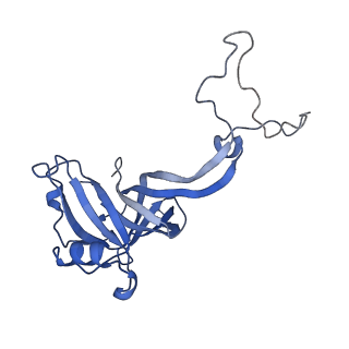 43076_8v9l_D_v1-2
Cryo-EM structure of the Mycobacterium smegmatis 70S ribosome in complex with hibernation factor Msmeg1130 (Balon) and MsmegEF-Tu(GDP) (Composite structure 6)