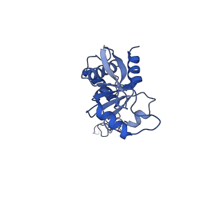 43076_8v9l_E_v1-2
Cryo-EM structure of the Mycobacterium smegmatis 70S ribosome in complex with hibernation factor Msmeg1130 (Balon) and MsmegEF-Tu(GDP) (Composite structure 6)