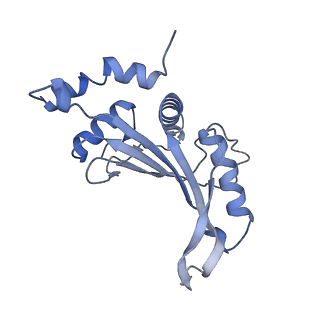 43076_8v9l_F_v1-2
Cryo-EM structure of the Mycobacterium smegmatis 70S ribosome in complex with hibernation factor Msmeg1130 (Balon) and MsmegEF-Tu(GDP) (Composite structure 6)