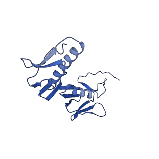 43076_8v9l_G_v1-2
Cryo-EM structure of the Mycobacterium smegmatis 70S ribosome in complex with hibernation factor Msmeg1130 (Balon) and MsmegEF-Tu(GDP) (Composite structure 6)