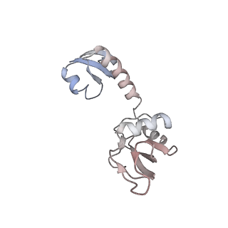 43076_8v9l_H_v1-2
Cryo-EM structure of the Mycobacterium smegmatis 70S ribosome in complex with hibernation factor Msmeg1130 (Balon) and MsmegEF-Tu(GDP) (Composite structure 6)