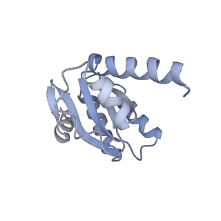 43076_8v9l_I_v1-2
Cryo-EM structure of the Mycobacterium smegmatis 70S ribosome in complex with hibernation factor Msmeg1130 (Balon) and MsmegEF-Tu(GDP) (Composite structure 6)