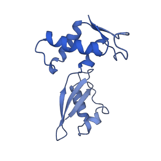 43076_8v9l_J_v1-2
Cryo-EM structure of the Mycobacterium smegmatis 70S ribosome in complex with hibernation factor Msmeg1130 (Balon) and MsmegEF-Tu(GDP) (Composite structure 6)