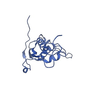 43076_8v9l_L_v1-2
Cryo-EM structure of the Mycobacterium smegmatis 70S ribosome in complex with hibernation factor Msmeg1130 (Balon) and MsmegEF-Tu(GDP) (Composite structure 6)