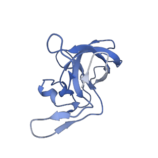 43076_8v9l_M_v1-2
Cryo-EM structure of the Mycobacterium smegmatis 70S ribosome in complex with hibernation factor Msmeg1130 (Balon) and MsmegEF-Tu(GDP) (Composite structure 6)