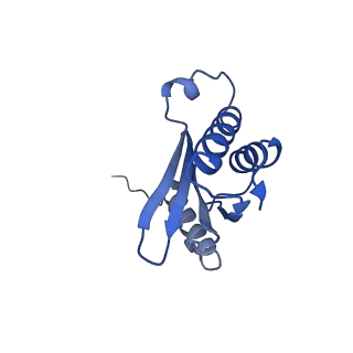 43076_8v9l_Q_v1-2
Cryo-EM structure of the Mycobacterium smegmatis 70S ribosome in complex with hibernation factor Msmeg1130 (Balon) and MsmegEF-Tu(GDP) (Composite structure 6)