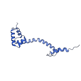 43076_8v9l_S_v1-2
Cryo-EM structure of the Mycobacterium smegmatis 70S ribosome in complex with hibernation factor Msmeg1130 (Balon) and MsmegEF-Tu(GDP) (Composite structure 6)