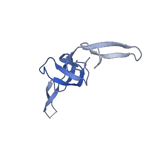 43076_8v9l_W_v1-2
Cryo-EM structure of the Mycobacterium smegmatis 70S ribosome in complex with hibernation factor Msmeg1130 (Balon) and MsmegEF-Tu(GDP) (Composite structure 6)