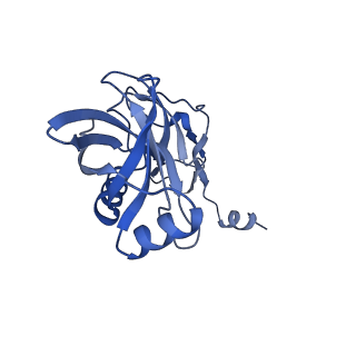 43076_8v9l_X_v1-2
Cryo-EM structure of the Mycobacterium smegmatis 70S ribosome in complex with hibernation factor Msmeg1130 (Balon) and MsmegEF-Tu(GDP) (Composite structure 6)