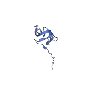 43076_8v9l_Y_v1-2
Cryo-EM structure of the Mycobacterium smegmatis 70S ribosome in complex with hibernation factor Msmeg1130 (Balon) and MsmegEF-Tu(GDP) (Composite structure 6)