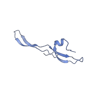 43076_8v9l_Z_v1-2
Cryo-EM structure of the Mycobacterium smegmatis 70S ribosome in complex with hibernation factor Msmeg1130 (Balon) and MsmegEF-Tu(GDP) (Composite structure 6)