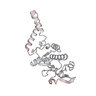 43076_8v9l_b_v1-2
Cryo-EM structure of the Mycobacterium smegmatis 70S ribosome in complex with hibernation factor Msmeg1130 (Balon) and MsmegEF-Tu(GDP) (Composite structure 6)