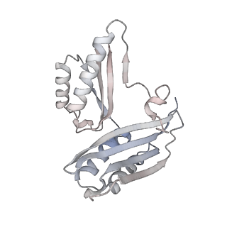 43076_8v9l_c_v1-2
Cryo-EM structure of the Mycobacterium smegmatis 70S ribosome in complex with hibernation factor Msmeg1130 (Balon) and MsmegEF-Tu(GDP) (Composite structure 6)