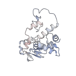 43076_8v9l_d_v1-2
Cryo-EM structure of the Mycobacterium smegmatis 70S ribosome in complex with hibernation factor Msmeg1130 (Balon) and MsmegEF-Tu(GDP) (Composite structure 6)