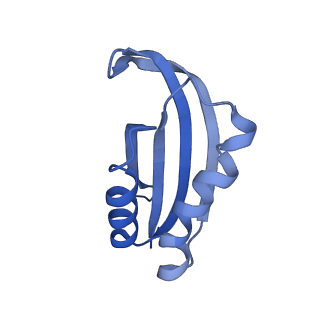 43076_8v9l_f_v1-2
Cryo-EM structure of the Mycobacterium smegmatis 70S ribosome in complex with hibernation factor Msmeg1130 (Balon) and MsmegEF-Tu(GDP) (Composite structure 6)