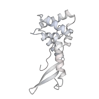 43076_8v9l_g_v1-2
Cryo-EM structure of the Mycobacterium smegmatis 70S ribosome in complex with hibernation factor Msmeg1130 (Balon) and MsmegEF-Tu(GDP) (Composite structure 6)