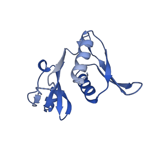 43076_8v9l_h_v1-2
Cryo-EM structure of the Mycobacterium smegmatis 70S ribosome in complex with hibernation factor Msmeg1130 (Balon) and MsmegEF-Tu(GDP) (Composite structure 6)