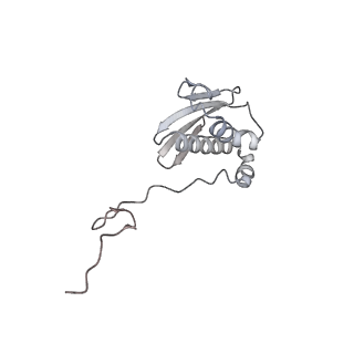 43076_8v9l_i_v1-2
Cryo-EM structure of the Mycobacterium smegmatis 70S ribosome in complex with hibernation factor Msmeg1130 (Balon) and MsmegEF-Tu(GDP) (Composite structure 6)