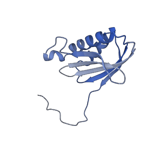 43076_8v9l_k_v1-2
Cryo-EM structure of the Mycobacterium smegmatis 70S ribosome in complex with hibernation factor Msmeg1130 (Balon) and MsmegEF-Tu(GDP) (Composite structure 6)