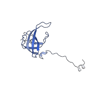 43076_8v9l_l_v1-2
Cryo-EM structure of the Mycobacterium smegmatis 70S ribosome in complex with hibernation factor Msmeg1130 (Balon) and MsmegEF-Tu(GDP) (Composite structure 6)