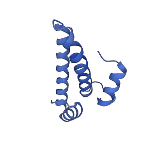 43076_8v9l_o_v1-2
Cryo-EM structure of the Mycobacterium smegmatis 70S ribosome in complex with hibernation factor Msmeg1130 (Balon) and MsmegEF-Tu(GDP) (Composite structure 6)