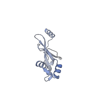 43076_8v9l_p_v1-2
Cryo-EM structure of the Mycobacterium smegmatis 70S ribosome in complex with hibernation factor Msmeg1130 (Balon) and MsmegEF-Tu(GDP) (Composite structure 6)