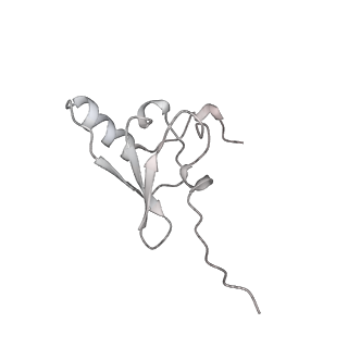 43076_8v9l_s_v1-2
Cryo-EM structure of the Mycobacterium smegmatis 70S ribosome in complex with hibernation factor Msmeg1130 (Balon) and MsmegEF-Tu(GDP) (Composite structure 6)