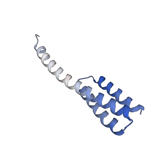 43076_8v9l_t_v1-2
Cryo-EM structure of the Mycobacterium smegmatis 70S ribosome in complex with hibernation factor Msmeg1130 (Balon) and MsmegEF-Tu(GDP) (Composite structure 6)