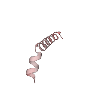 43076_8v9l_u_v1-2
Cryo-EM structure of the Mycobacterium smegmatis 70S ribosome in complex with hibernation factor Msmeg1130 (Balon) and MsmegEF-Tu(GDP) (Composite structure 6)