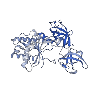 43076_8v9l_x_v1-2
Cryo-EM structure of the Mycobacterium smegmatis 70S ribosome in complex with hibernation factor Msmeg1130 (Balon) and MsmegEF-Tu(GDP) (Composite structure 6)