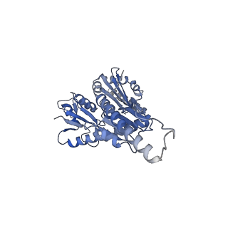 43076_8v9l_z_v1-2
Cryo-EM structure of the Mycobacterium smegmatis 70S ribosome in complex with hibernation factor Msmeg1130 (Balon) and MsmegEF-Tu(GDP) (Composite structure 6)