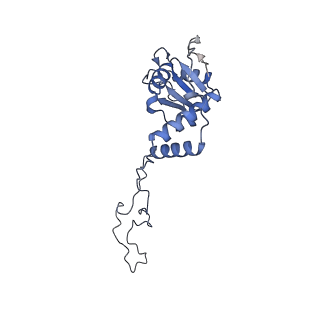 8645_5v93_E_v1-3
Cryo-EM structure of the 70S ribosome from Mycobacterium tuberculosis bound with Capreomycin