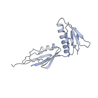8645_5v93_G_v1-3
Cryo-EM structure of the 70S ribosome from Mycobacterium tuberculosis bound with Capreomycin