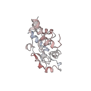8645_5v93_d_v1-3
Cryo-EM structure of the 70S ribosome from Mycobacterium tuberculosis bound with Capreomycin
