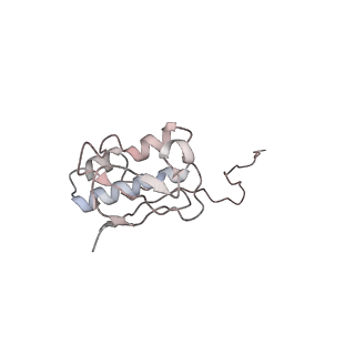 8645_5v93_i_v1-3
Cryo-EM structure of the 70S ribosome from Mycobacterium tuberculosis bound with Capreomycin
