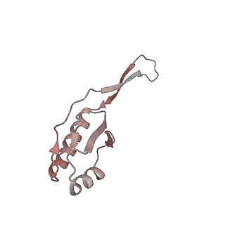 8645_5v93_j_v1-3
Cryo-EM structure of the 70S ribosome from Mycobacterium tuberculosis bound with Capreomycin