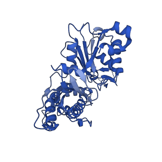 20711_6vao_A_v1-2
Human cofilin-1 decorated actin filament
