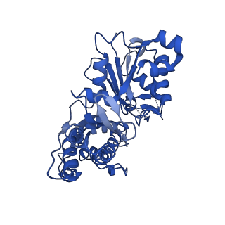 20711_6vao_A_v1-3
Human cofilin-1 decorated actin filament