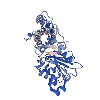 20711_6vao_B_v1-2
Human cofilin-1 decorated actin filament