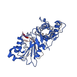 20711_6vao_C_v1-2
Human cofilin-1 decorated actin filament